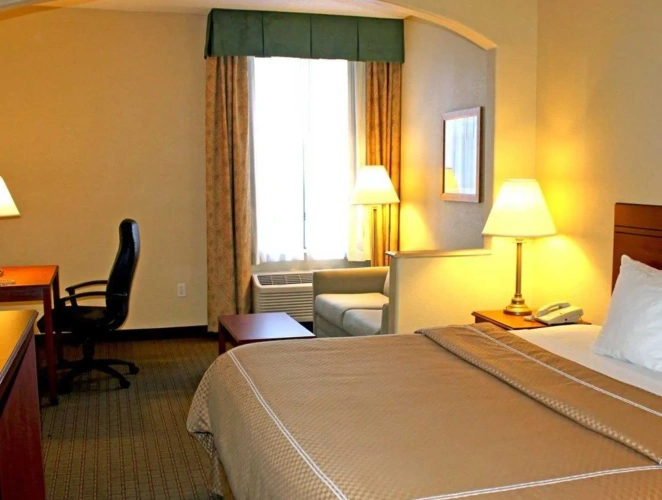 1 Bedroom Suite