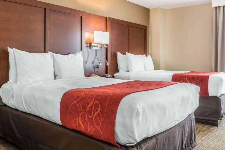 Quadruple Suite