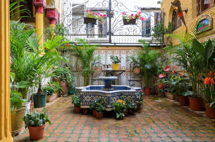 Hotel Mozart photo 18