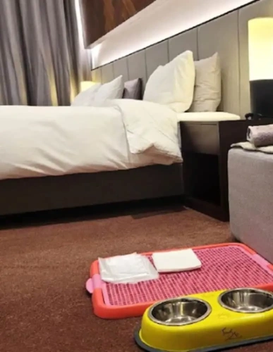 Pet Friendly Double room