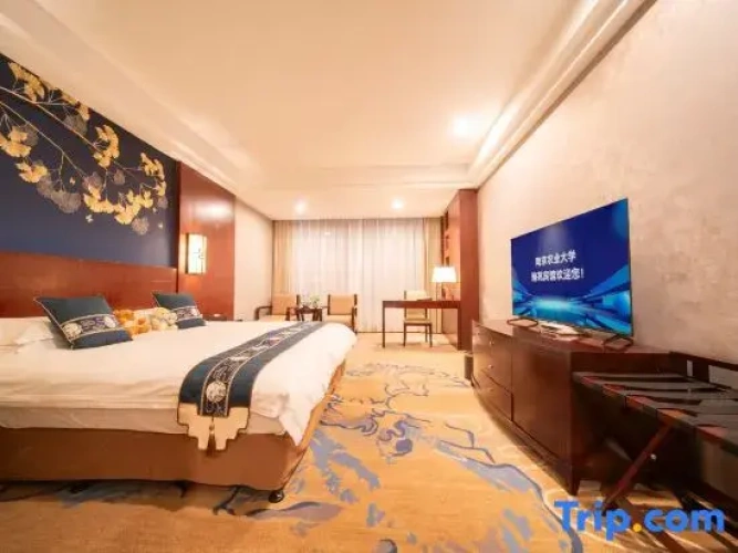 Privilege Double room