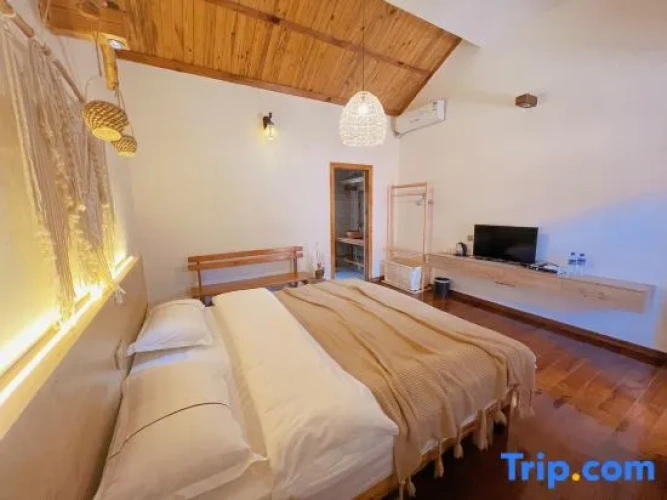 Standard Double room with courtyard view