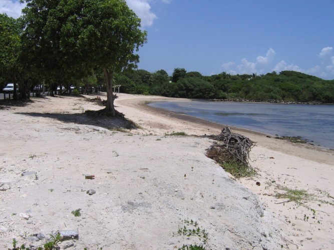 Beach