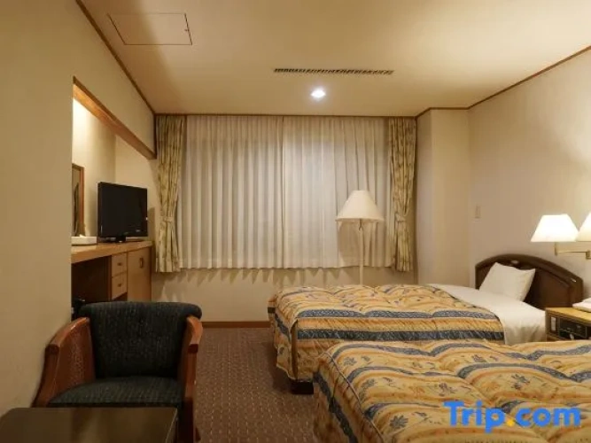 Standard Twin room with ocean view