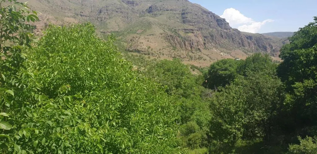 Hotel Vardzia Terrace