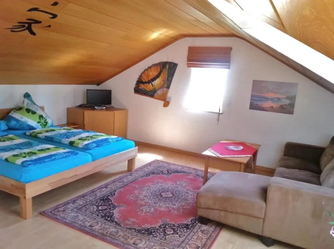Deluxe Apartment