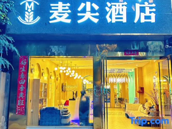 Wingsong Maijian Hotel