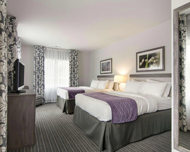 Comfort Inn Williamsburg Gateway