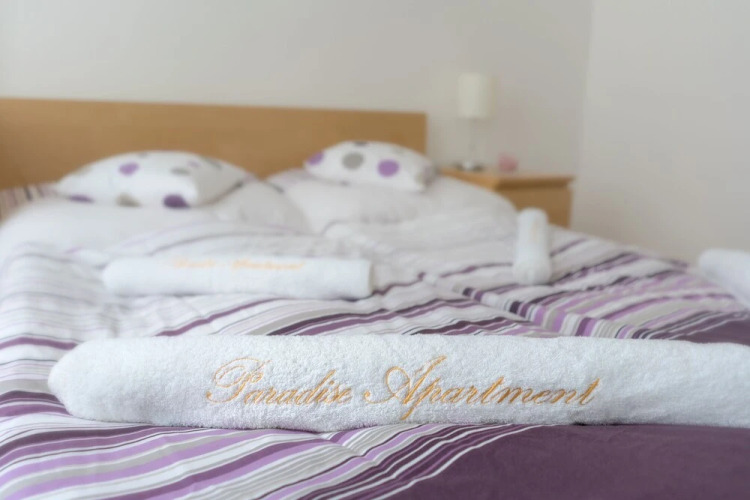 Paradise Apartment Over view