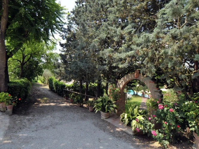 Cottage