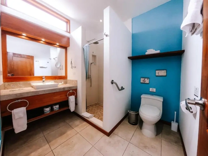 Standard Double room with balcony and with view