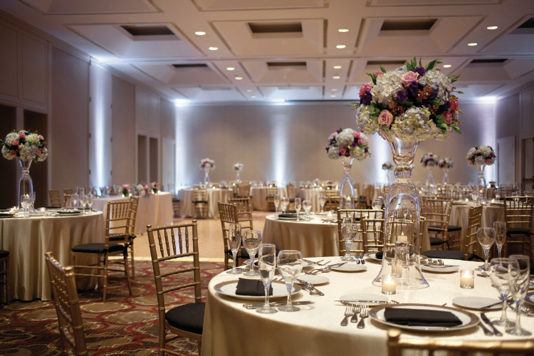 Hilton Boston/Dedham photo 27