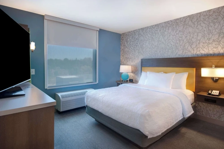 1 Bedroom Suite