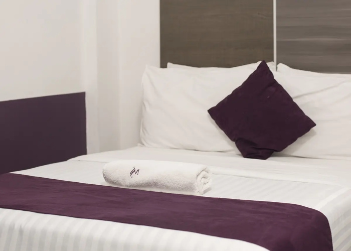 Hotel MS