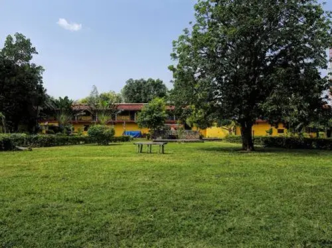Bandhavgarh 365