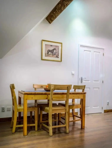 Comfort Apartment
