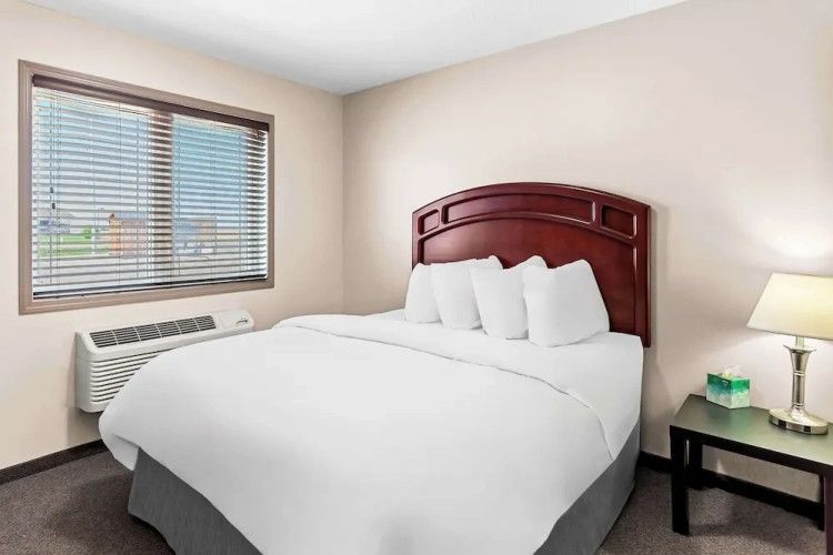 Double Basement Suite