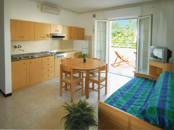 1 Bedroom Apartment