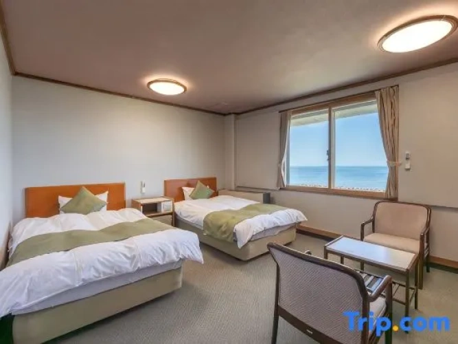 Standard Twin room with ocean view