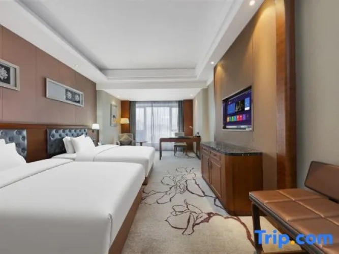 Comfort Twin room