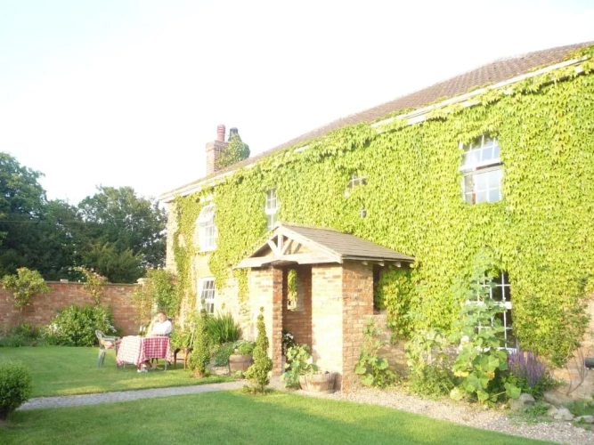 Cottage
