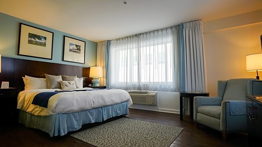 1 Bedroom Premium Double Suite