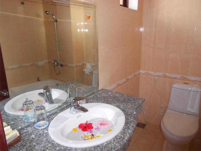 Bach Dang Hoi An Hotel