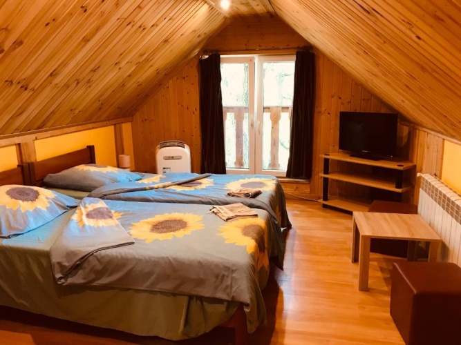 Standard Double room