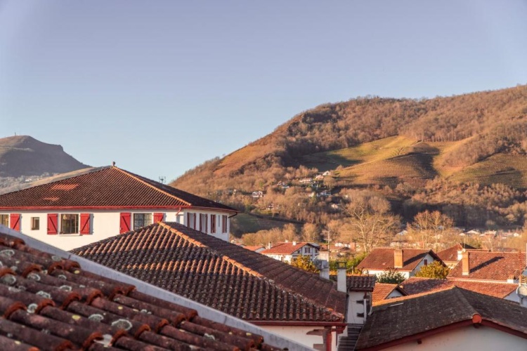Standard Double room with mountain view