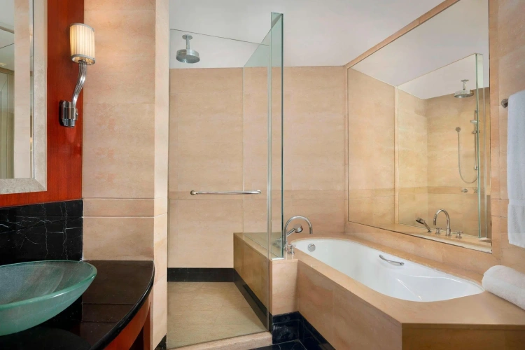 Deluxe Double room with city view