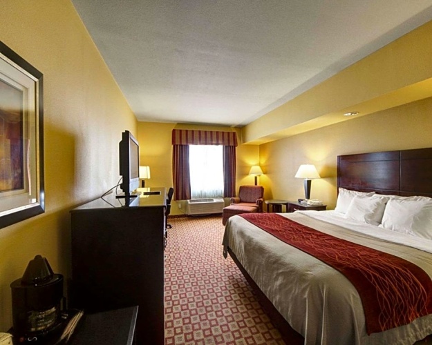 Quadruple Suite