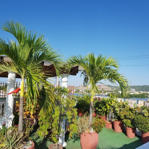 Imagen de Hotel Patio De Getsemani