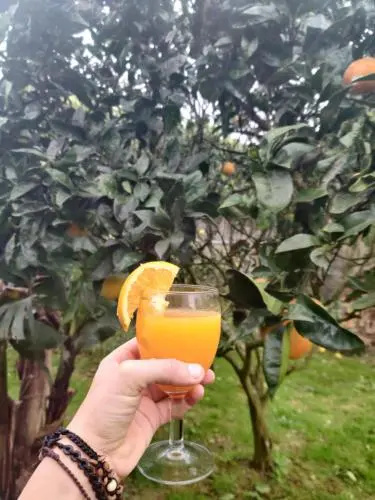 Novovento