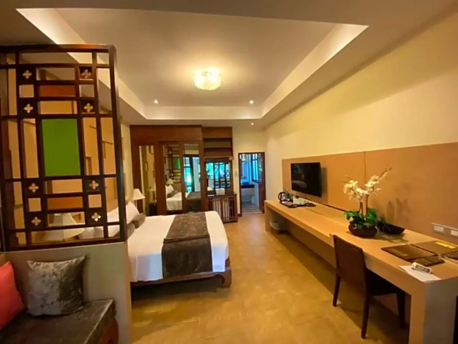 Deluxe Double room with balcony and with view