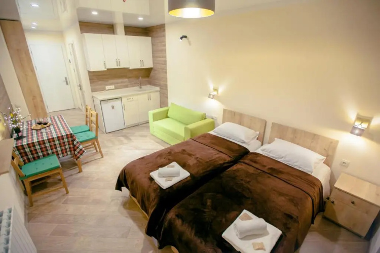 Cozy appartement, loft2 in New Gudauri