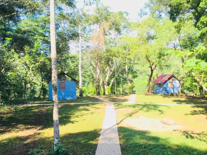 Mango Walk Inn