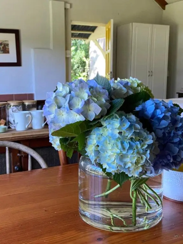 Yellowwoods Farm - POOL COTTAGE (self-catering)