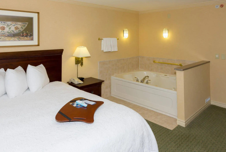 Hampton Inn Buffalo-Williamsville