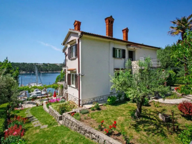 Jelena - INH 32595