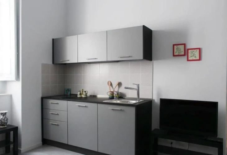 1 Bedroom Apartment