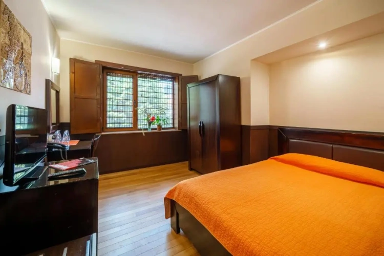 Standard Double room with balcony and with view