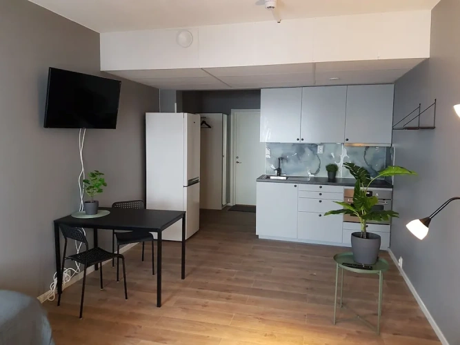 1 Bedroom Apartment