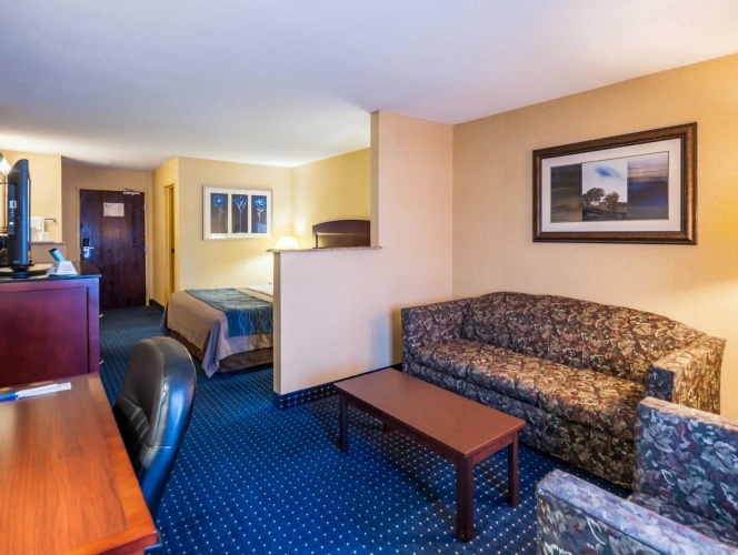Suite