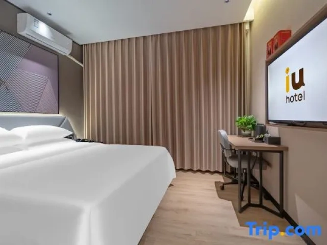 Business Double Suite