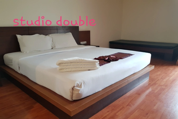 Double Studio
