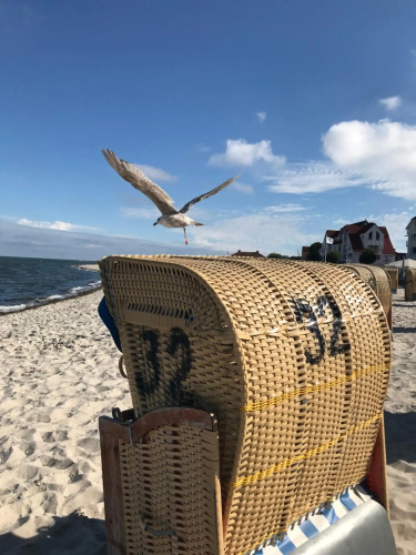 Liegeplatz TWEE
