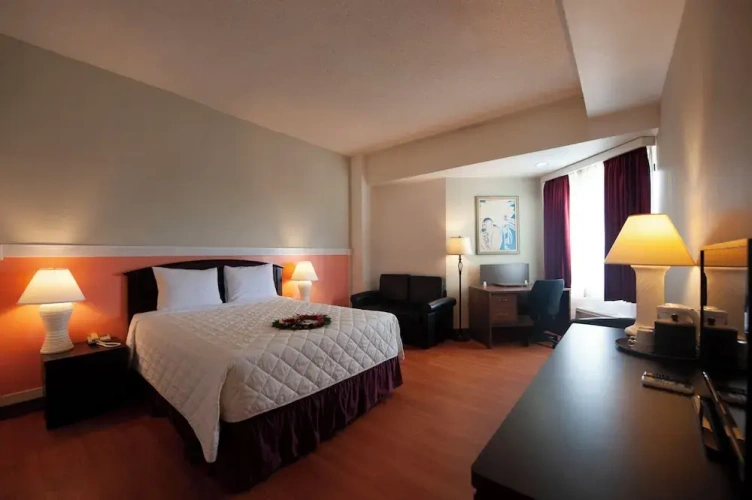 Standard Single room with city view
