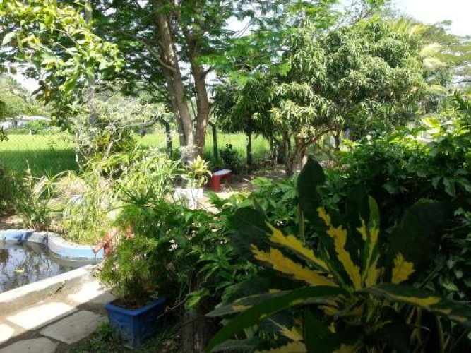 Hansika Guest Inn
