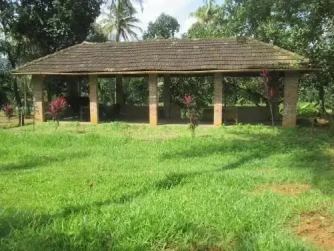 Vayal
