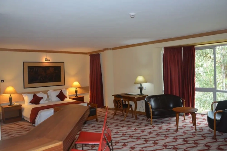 Double Family Suite